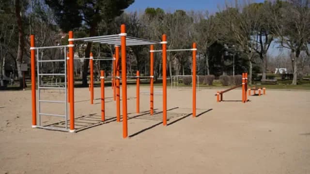 Parque de calistenia Madrid: todo lo que necesitas saber sobre sus instalaciones Parque de calistenia Madrid: todo lo que necesitas saber sobre sus instalaciones