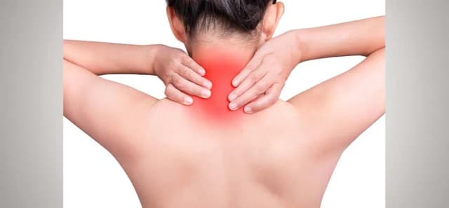 Músculo del cuello y espalda: funciones, problemas y soluciones efectivas Músculo del cuello y espalda: funciones, problemas y soluciones efectivas