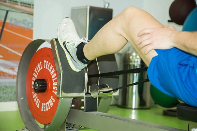 Músculos de la pierna superior: funciones clave y su impacto en el ejercicio Músculos de la pierna superior: funciones clave y su impacto en el ejercicio